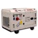 Дизельний генератор TMG Power DG 11000TSE максимальна потужність 8 кВт 252764 фото 2