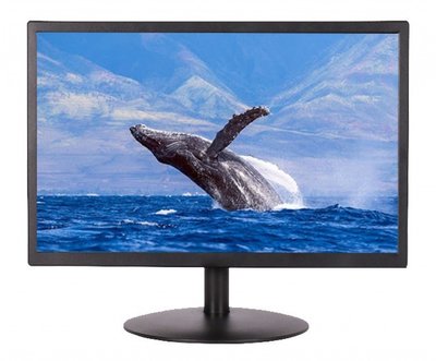 Професійний РК-монітор Qualvision QV-LED22A-2K 22-дюймовий 301649 фото